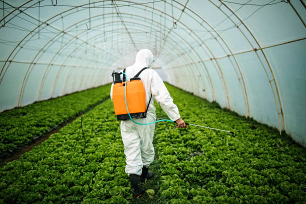 Best Affordable Pest Control Services  in Laurens, SC