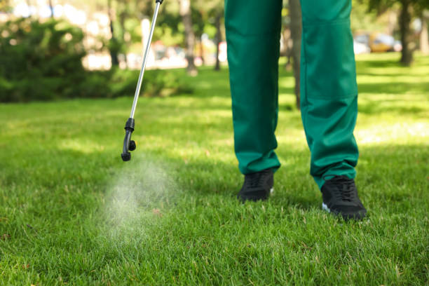 Best Local Pest Control Services  in Laurens, SC