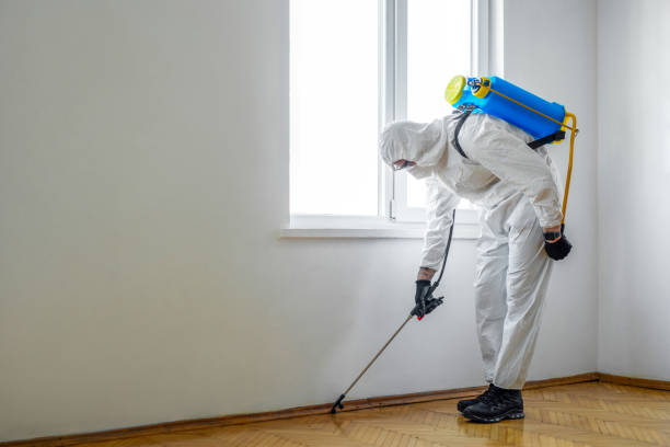 Best Cockroach Control Services  in Laurens, SC