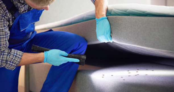 Pest Control for Restaurants in Laurens, SC