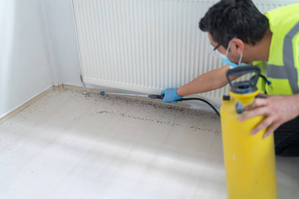 Best Best Pest Control Companies  in Laurens, SC